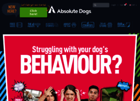 absolute-dogs.com