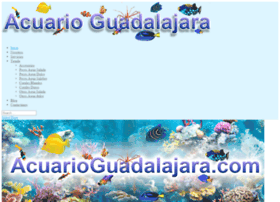 acuarioguadalajara.com
