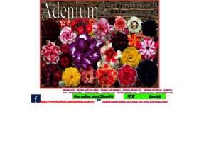 adenium-seeds.com