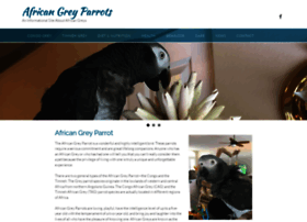 african-grey-parrot.com