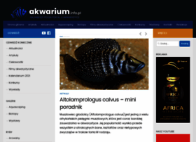akwarium.info.pl
