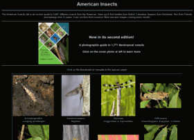 americaninsects.net
