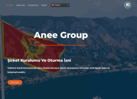anee.group