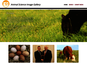 animalimagegallery.org