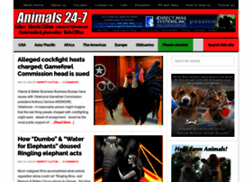 animals24-7.org