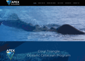 apex-environmental.com