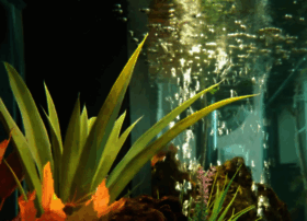aquariumcentre.co.za