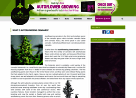 autoflowering-cannabis.com