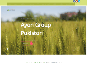 ayangroup.com.pk