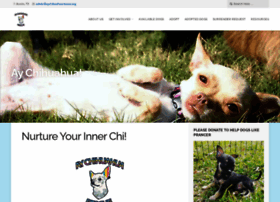 aychihuahuarescue.org