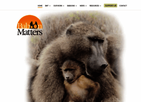 baboonmatters.org.za