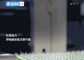 bak.com.cn