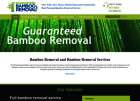 bambooremoval.com