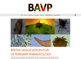 bavp.org.uk