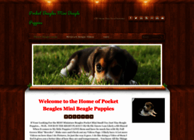 beaglespocket.com
