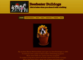 beefeaterbulldogs.org