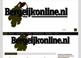 bergeijkonline.nl