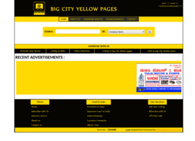 bigcityyellowpages.info
