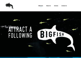 bigfishmedia.co.za
