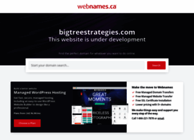 bigtreestrategies.com