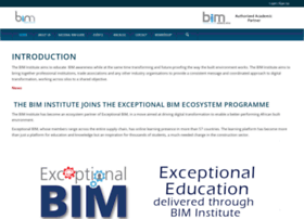 biminstitute.org.za