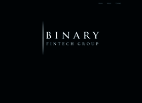 binaryfin.com
