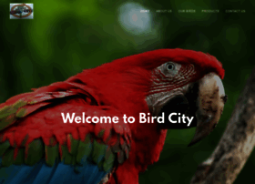 birdcity.com.au
