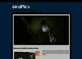 birdpics.co.za