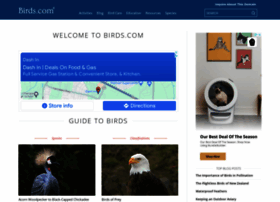birds.com