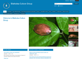 blattodea-culture-group.org