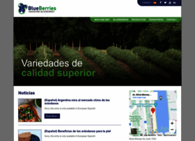 blueberries.com.ar