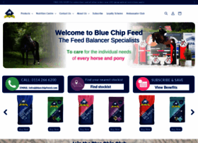 bluechipfeed.com