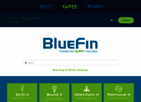 bluefingrp.com