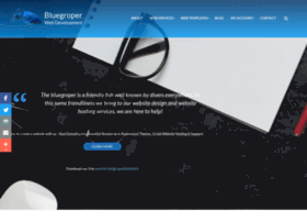 bluegroper.com.au