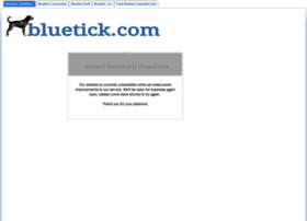 bluetick.com