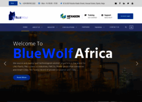 bluewolfafrica.com