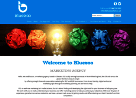 bluezooltd.co.uk