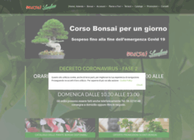bonsai-roma.com