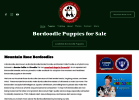 borderdoodles.com