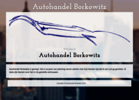 borkowitz.nl