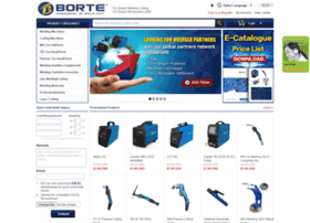 borte.com.cn