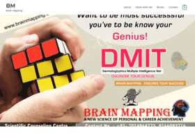 brainmapping.co.in
