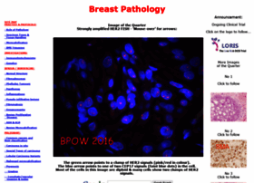 breastpathology.info