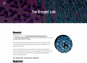 briegel-lab.org