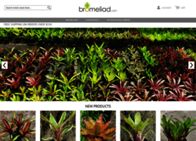 bromeliad.com