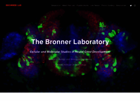bronnerlab.com