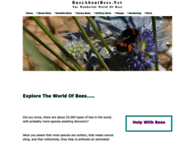 buzz-about-bees.com