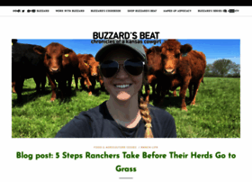 buzzardsbeat.com