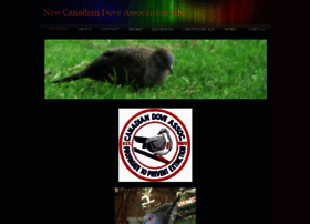canadiandoveassociation.com
