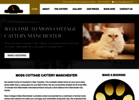 catteryinmanchester.co.uk